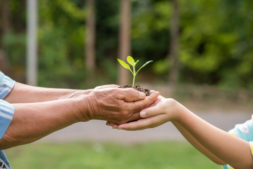 Two pairs of hands holding a small plant with soil, set against a blurred green outdoor background.