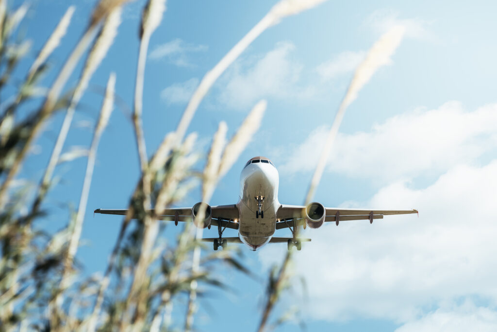 Airplane in the sky with tall plants int he forefront on the left side of the photo.
