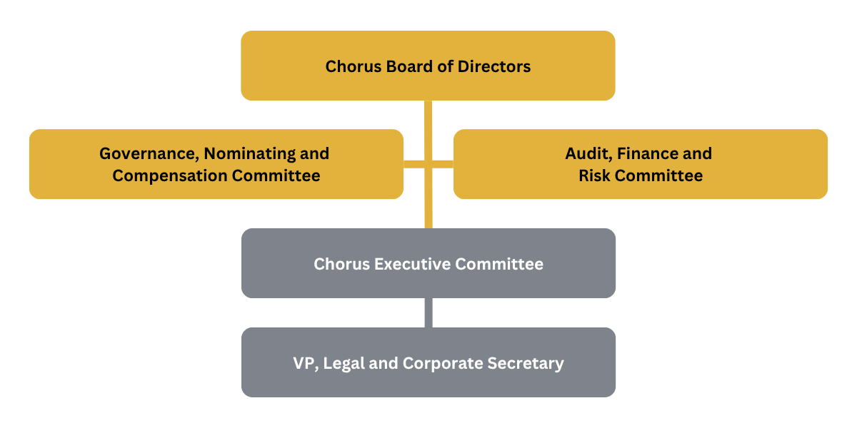 Chorus governance structure showing the Board of Directors, board committees, the Executive Committee, and the Vice President, Legal and Corporate Secretary.